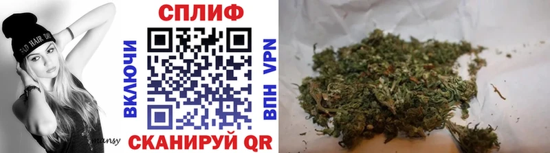 Каннабис индика  Няндома 